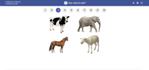 Liigne pilt 01 (heliga)